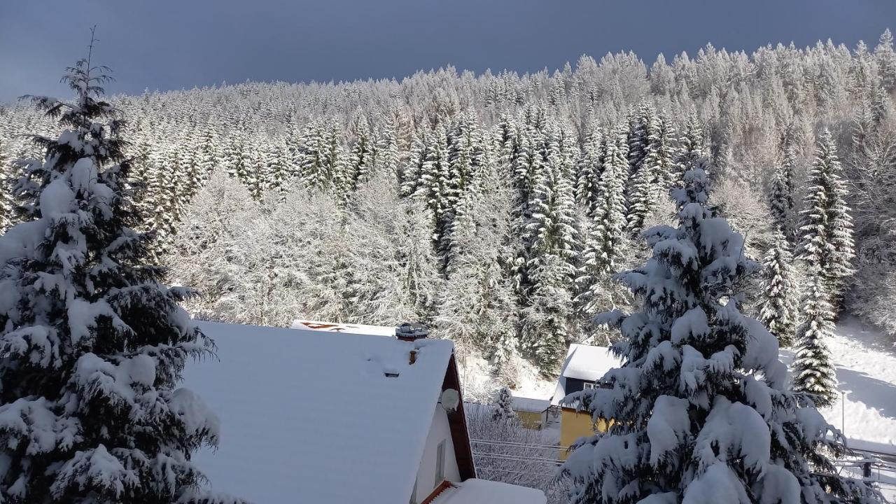 Monteur- Und Ferienwohnung Waldrauschen Fehrenbach Exterior photo