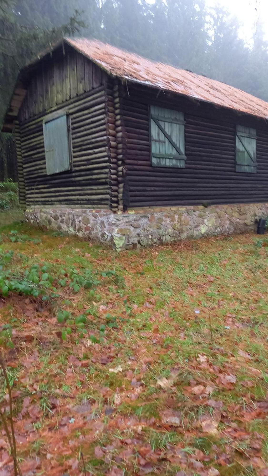 Monteur- Und Ferienwohnung Waldrauschen Fehrenbach Exterior photo