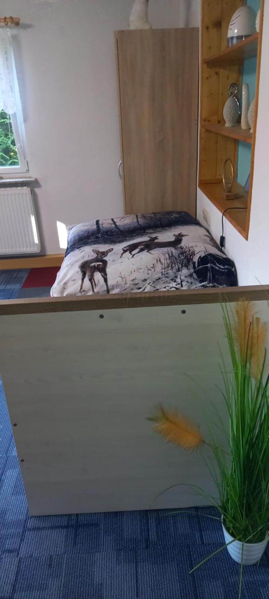 Monteur- Und Ferienwohnung Waldrauschen Fehrenbach Exterior photo